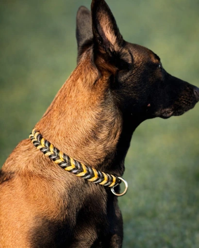 Wunsch Halsband