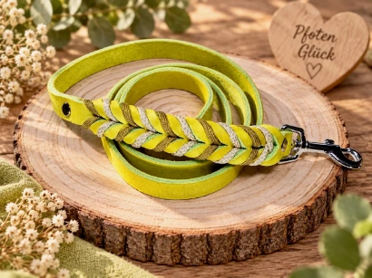 Halsband  "Finn"